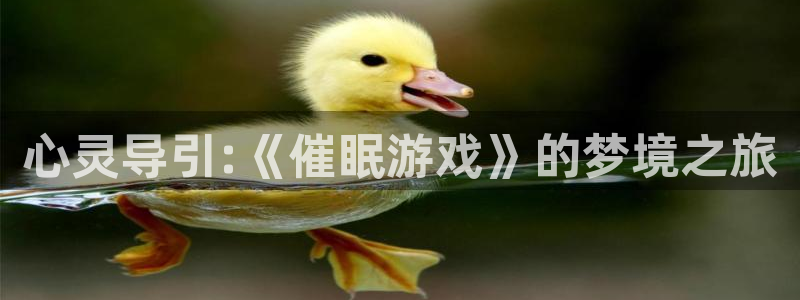 杏盛平台服务：心灵导引:《催眠游戏》的梦境之旅