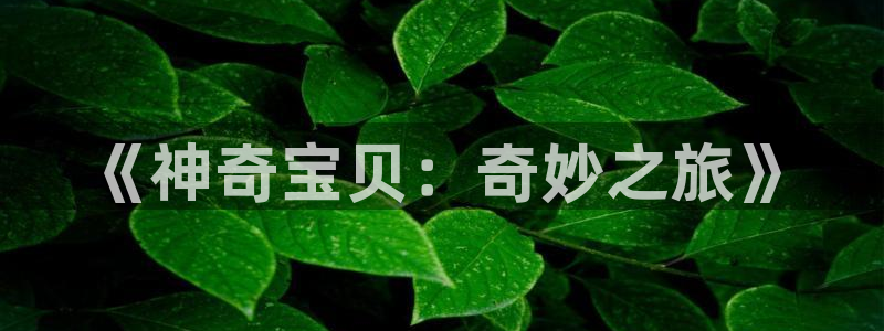 杏盛平台主管：《神奇宝贝：奇妙之旅》