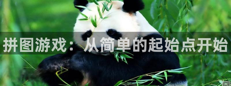 杏盛平台主管：拼图游戏：从简单的起始点开始