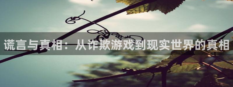 杏盛登录地址：谎言与真相：从诈欺游戏到现实世界的真相