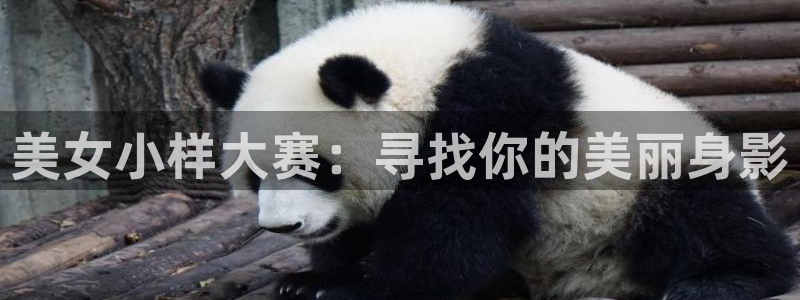 杏盛娱乐平台注册登录：美女小样大赛：寻找你的美丽身影