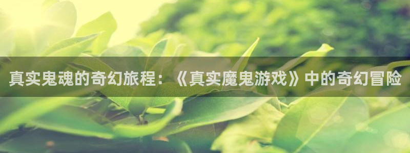 杏盛注册：真实鬼魂的奇幻旅程：《真实魔鬼游戏》中的奇幻冒险