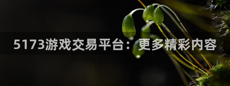 杏盛注册平台：5173游戏交易平台：更多精彩内容