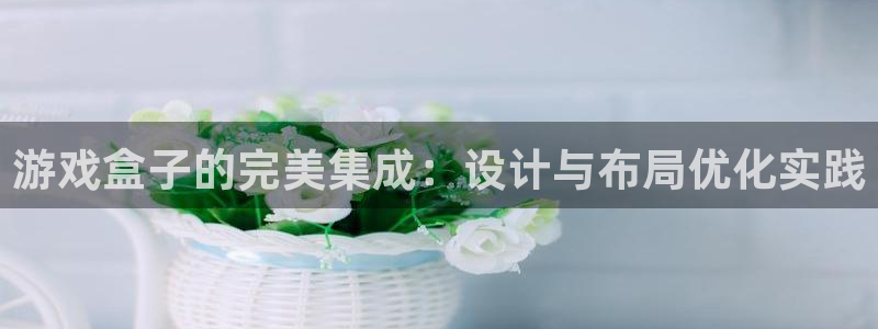 杏盛登录下载：游戏盒子的完美集成：设计与布局优化实践