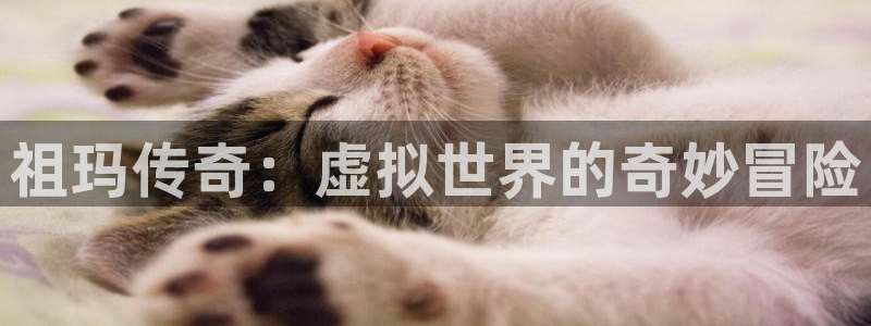 杏盛平台总代理
