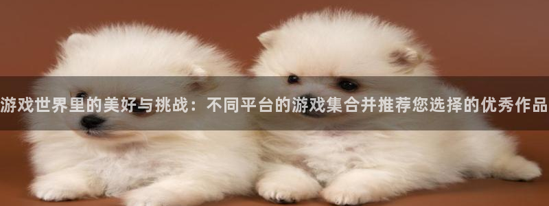 杏盛主管：游戏世界里的美好与挑战：不同平台的游戏集合并推荐您