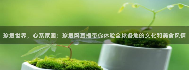 黑白体育nba直播免费观看：珍爱世界，心系家国：珍爱网直播带你体验全球各地的文化和美食风情