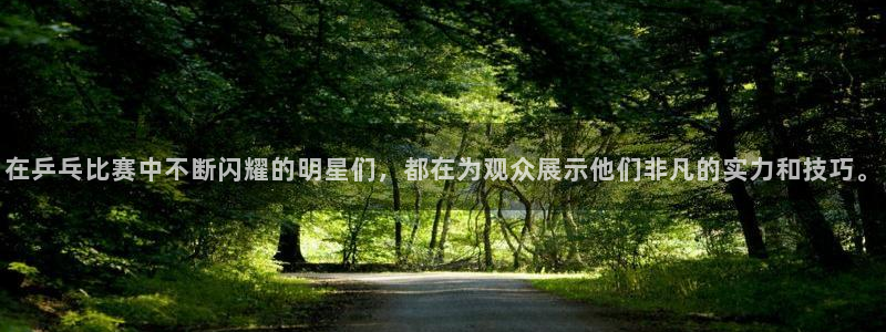 黑白体育足球直播：在乒乓比赛中不断闪耀的明星们，都在为观众展示他们非凡的实力和技巧。