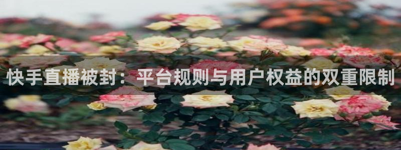 黑白直播体育在线观看nba：快手直播被封：平台规则与用户权益的双重限制