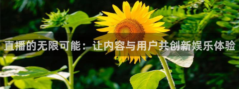 nba免费黑白直播：直播的无限可能：让内容与用户共创新娱乐体验