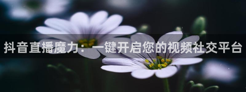 黑白直播体育直播app下载：抖音直播魔力：一键开启您的视频社交平台