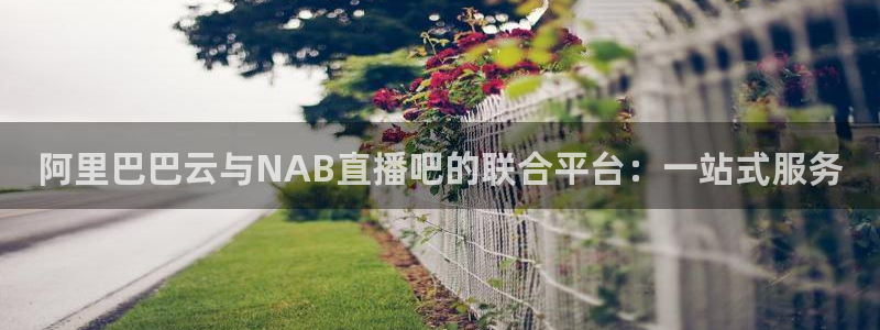 黑白直播官网nba直播：阿里巴巴云与NAB直播吧的联合平台：一站式服务
