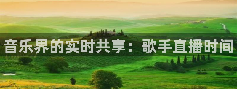 黑白看球直播：音乐界的实时共享：歌手直播时间